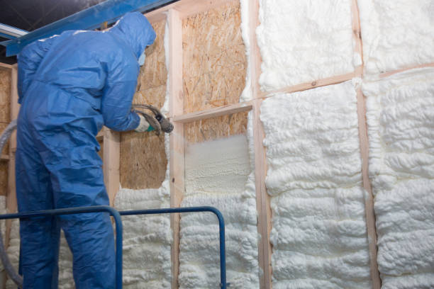 Edwardsville, IL Insulation Removal & Installation Company